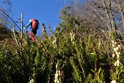 Alla CROCE del MONTE CASTELLO (1425 m) il 20 novembre 2017 - FOTOGALLERY